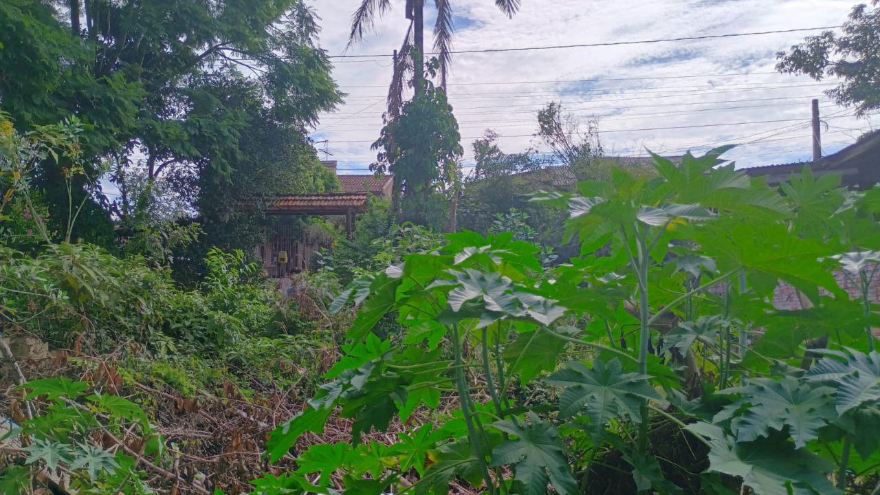 Terreno no Bairro Santa Teresa