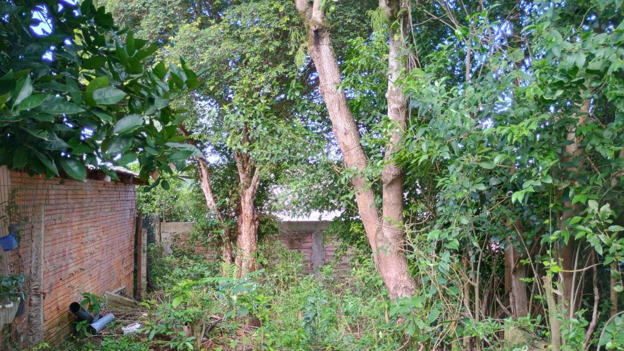 Terreno no Bairro Santa Teresa